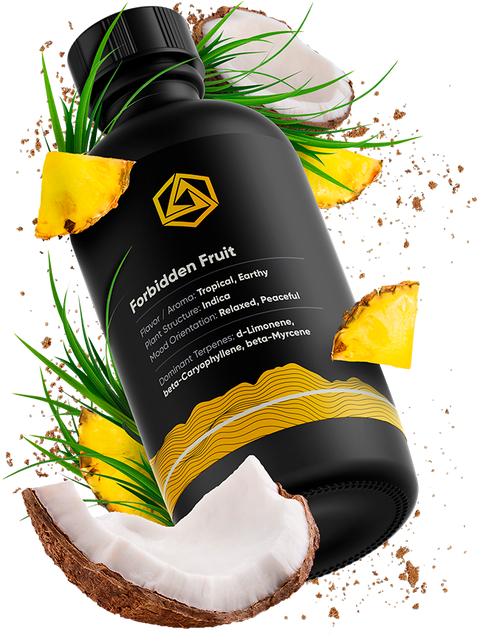 Forbidden Fruit Terpene Profile