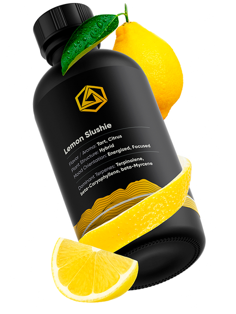 Lemon Slushie Terpene Profile