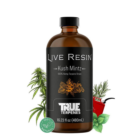 True Terpenes Live Resin - Kush Mintz - The Supply Joint 