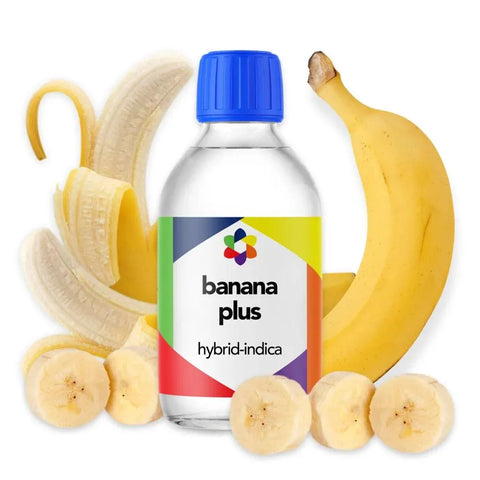 Banana Plus + Terpene Blend - The Supply Joint