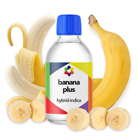 Banana Plus + Terpene Blend - The Supply Joint 