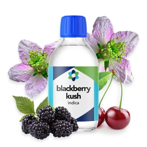 Blackberry Kush Terpene Profile - The Supply Joint