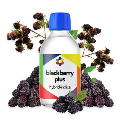 Blackberry Plus + Terpene Blend - The Supply Joint