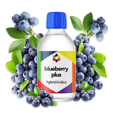 Blueberry Plus + Terpene Blend - The Supply Joint 