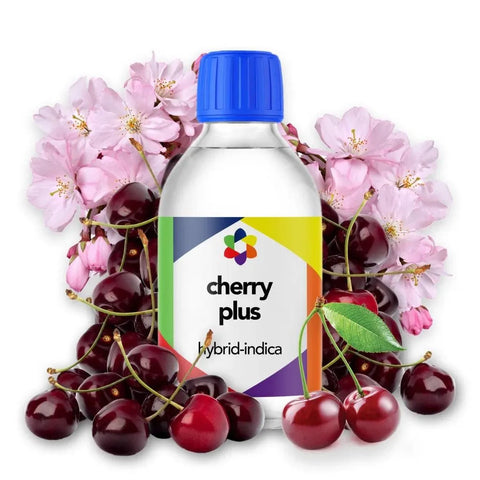 Cherry Plus + Terpene Blend - The Supply Joint