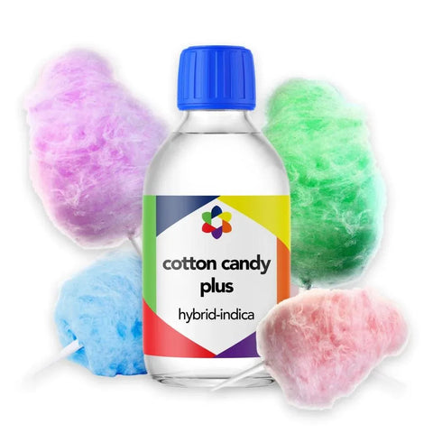 Cotton Candy Plus + Terpene Blend - The Supply Joint
