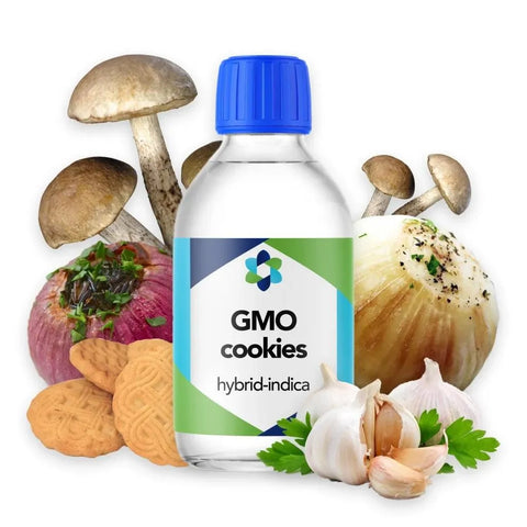 Gmo Cookies Terpene Profile - The Supply Joint