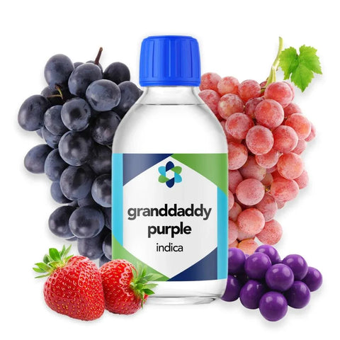 Granddaddy Purple Terpene Profile - The Supply Joint