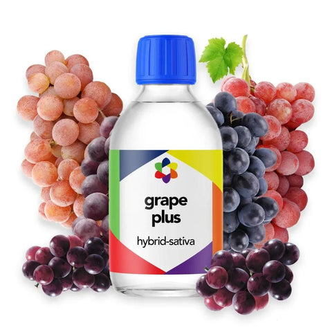 Grape Plus + Terpene Blend - The Supply Joint