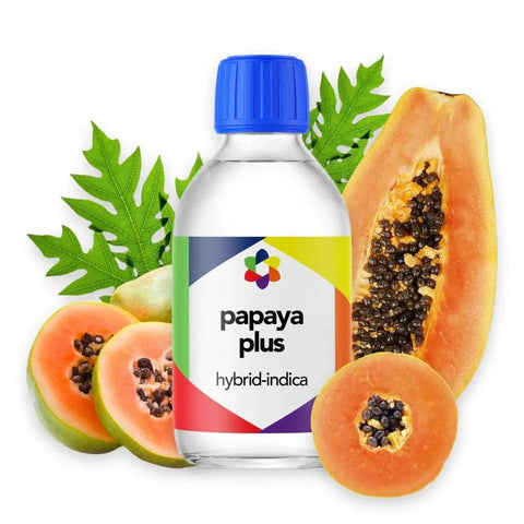 Papaya Plus Terpene Blend - The Supply Joint