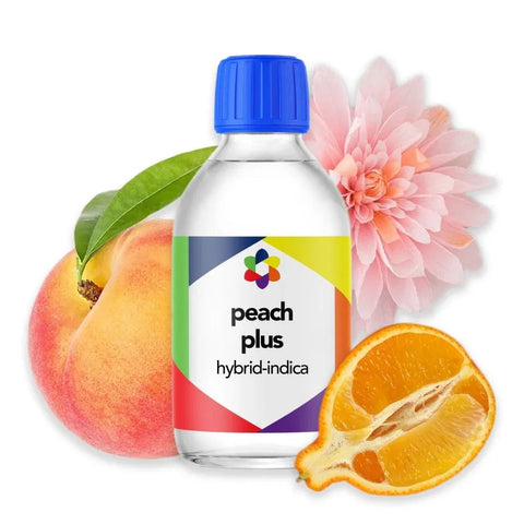 Peach Plus + Terpene Blend - The Supply Joint
