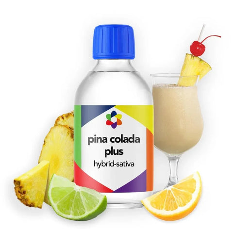 Piña Colada Plus + Terpene Blend - The Supply Joint