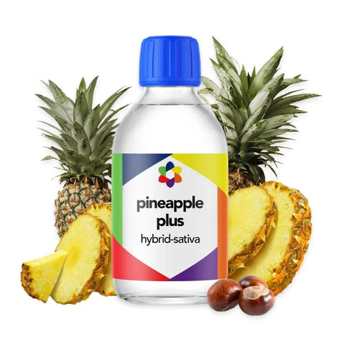 Pineapple Plus + Terpene Blend - The Supply Joint