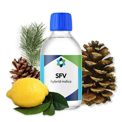 Sfv Og Terpene Profile - The Supply Joint