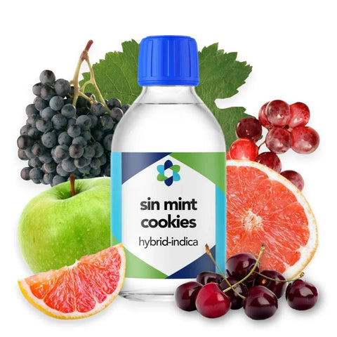 Sinmint Cookies Terpene Profile - The Supply Joint