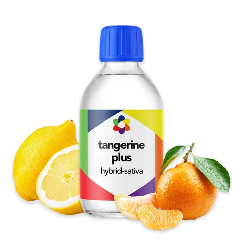 Tangerine Plus + Terpene Blend - The Supply Joint
