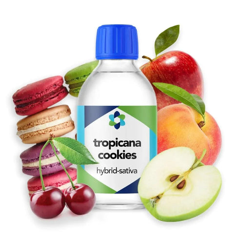 Tropicana Cookies Terpene Profile - The Supply Joint