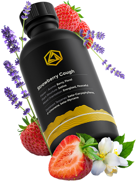 Strawberry Cough Terpene Profile