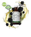 Blackberry Kush Terpene Profile - The Supply Joint 