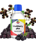 Blackberry Plus + Terpene Blend - The Supply Joint 