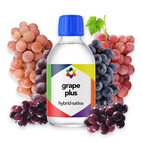 Grape Plus + Terpene Blend - The Supply Joint 