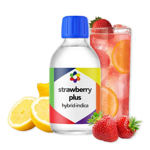 Strawberry Plus + Terpene Blend - The Supply Joint 