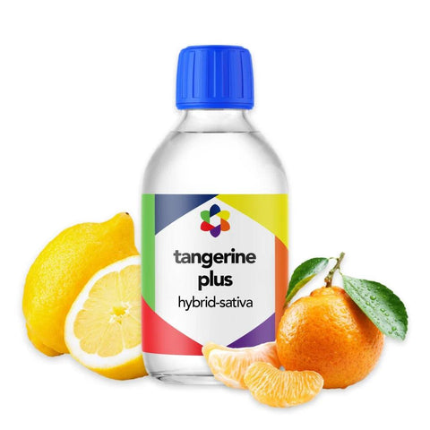 Tangerine Plus + Terpene Blend - The Supply Joint 