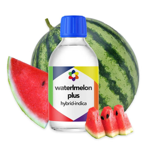 Watermelon Plus + Terpene Blend - The Supply Joint 